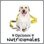Diseño sin título-6