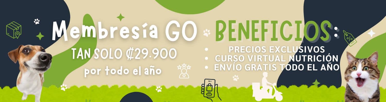 Membresía Banner principal Compu