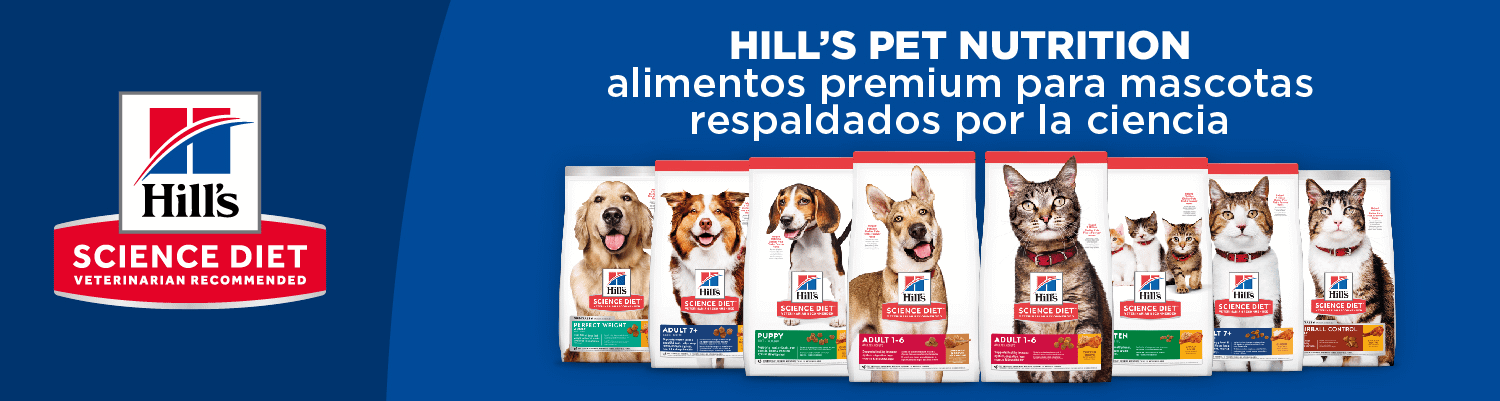 Banner_Hills_Costa_Rica