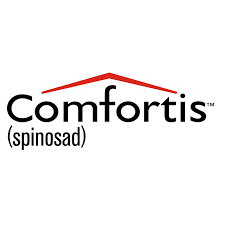 logo comfortis-2