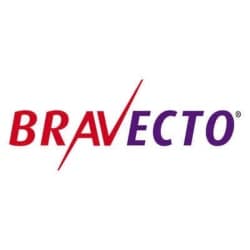 Bravecto-mascotas-costa-rica antipulgas-bravecto-costa-rica