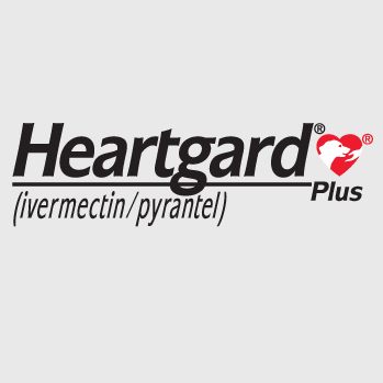Heartgard Plus 1