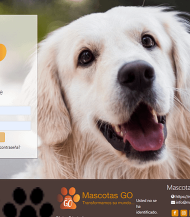 Curso ¿Cómo brindar un paseo beneficioso a las mascotas?