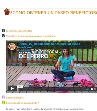 Curso ¿Cómo brindar un paseo beneficioso a las mascotas?