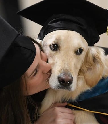 Curso Paseador Responsable