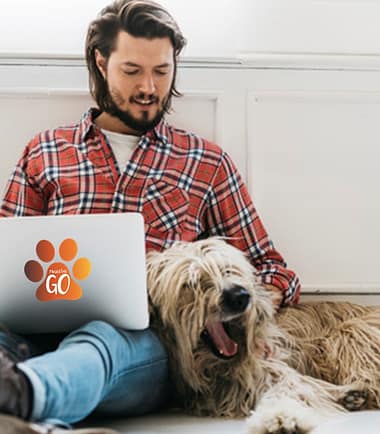 Curso Paseador Responsable