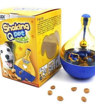 Porfiado guauu y miauu