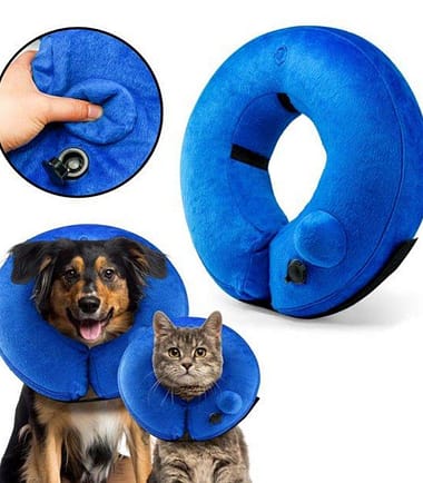 collar-inflable-mascota-costa-rica