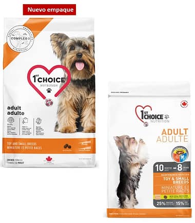 1st-choice-adult-toy-&-small-breeds-costa-rica