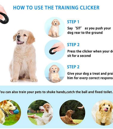 Clicker 1