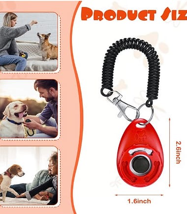 Clicker-adiestramiento-perro-costa-rica