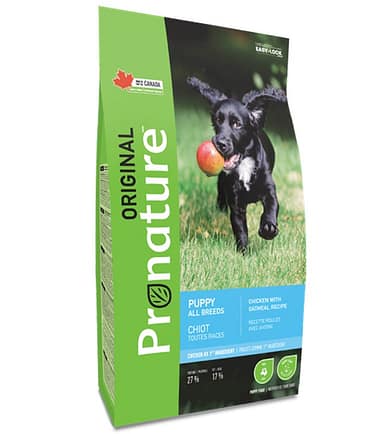 Pronature-puppy-costa-rica