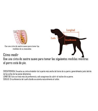 size-arnes-dog-cat-costa-rica
