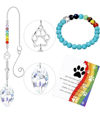 kit-conmemorativo-mascotas-costa-rica