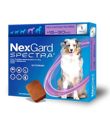 nexgard-spectra-15-30-kg-costa-rica