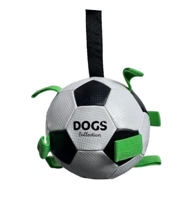 pelota-de-futbol-interactiva-perros-costa-rica