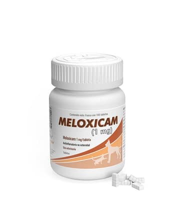 meloxicam-antiinflamatorio-perro-gato-costa-rica
