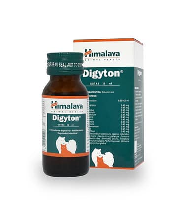 Digyton-jarabe-para-mascotas-costa-rica
