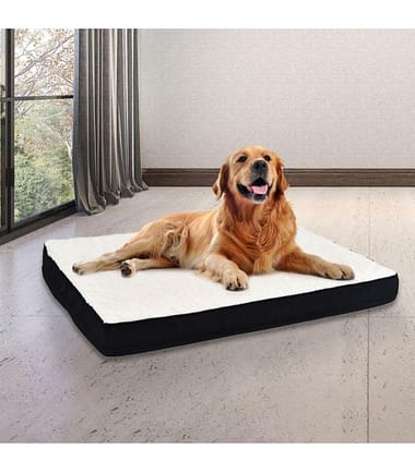 Cama-ortopédica-para-mascotas-costa-rica