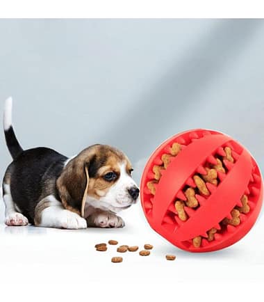 bola-hulé-para-mascotas-costa-rica