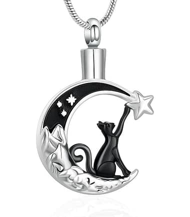 collar-conmemorativo-mascotas-costa-rica