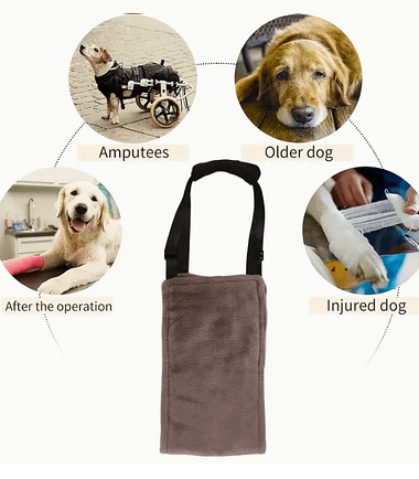 soporte-auxiliar-de-ayuda-para-perros-costa-rica