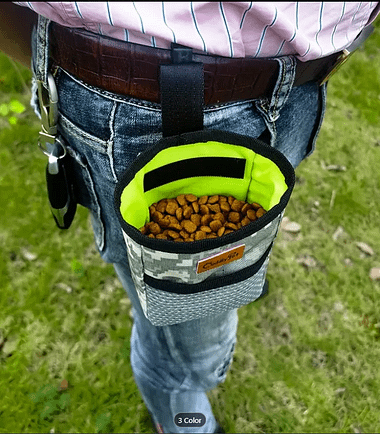 Bolso-premios-perro-costa-rica.