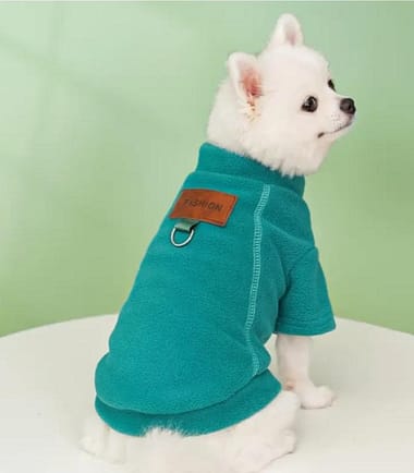 camiseta-perro-turquesa-costa-rica