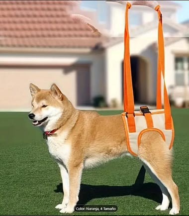 Soporte de ayuda para perros-Talla L