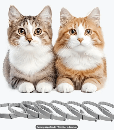 Collar-gato-costa-rica.