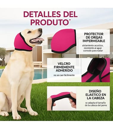 protección-antiruidos-perros-costa-rica orejeras-antiruidos-talla-s-perros-costa-rica