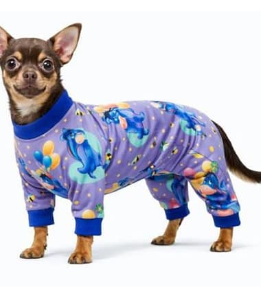 ropa-perro-costa-rica