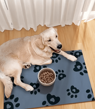 alfombra-tazas-perros-comida-orden-costa-rica