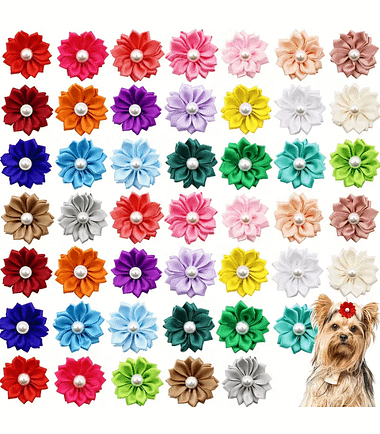 lazos-perro-diseño-costa-rica