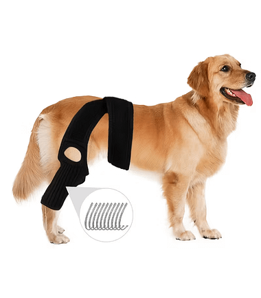 soporte-rodilla-perro-costa-rica
