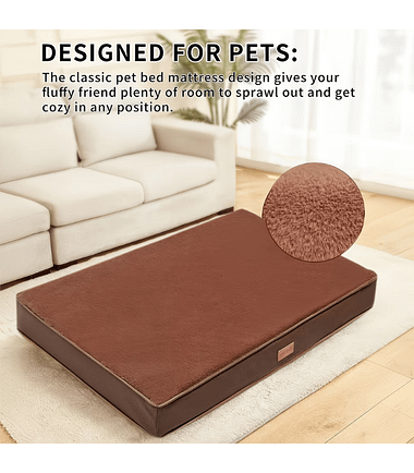 soporte-ortopédico-para-perros-gatos-costa-rica