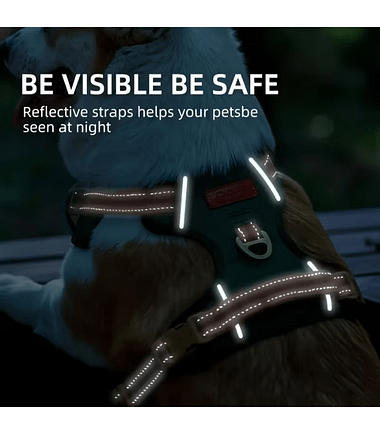 pechera-reflectante-perros-costa-rica