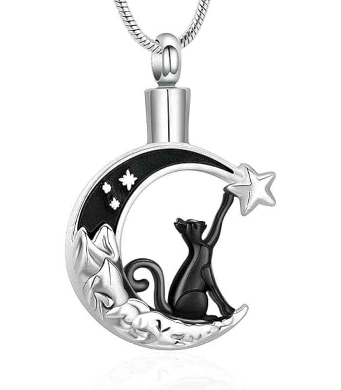 urna-cenizas-mascotas-costa-rica collar-conmemorativo-mascotas-costa-rica