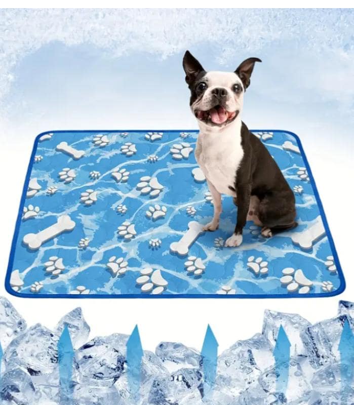 Alfombra-refrescante-perro-costa-rica