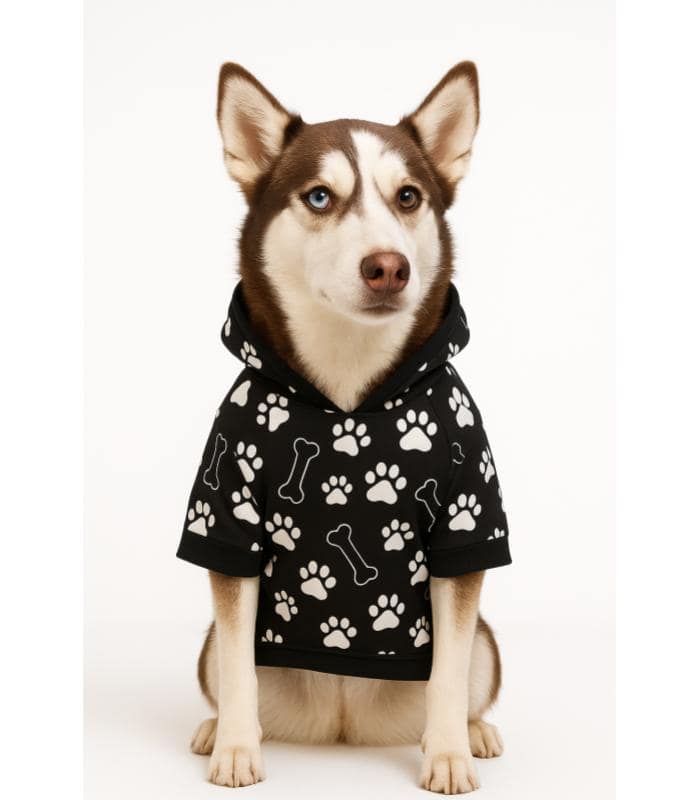 sueta-perros-talla-Xl-costa-rica