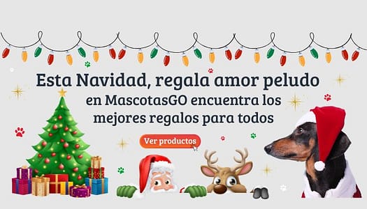 (1)Banner para celular 700 x 400