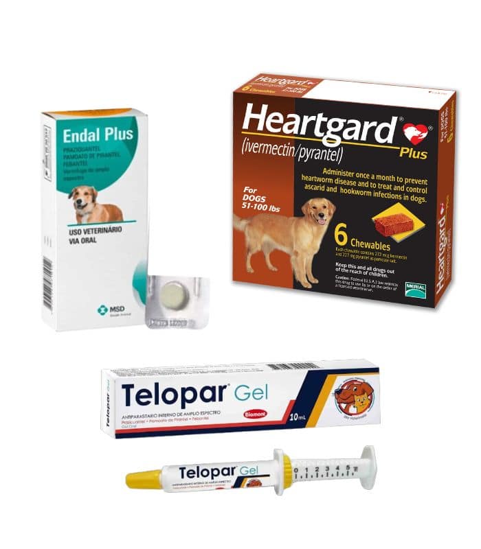 Desparasitantes Perro