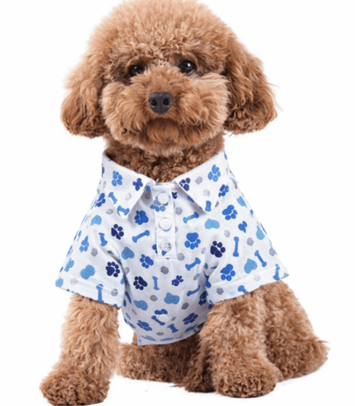 camisa-elegante-perros-costa-rica ropa-mascotas-costa-rica