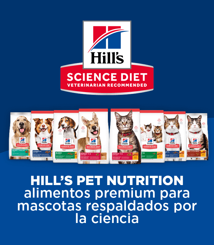 Banner_Hills_Costa_Rica