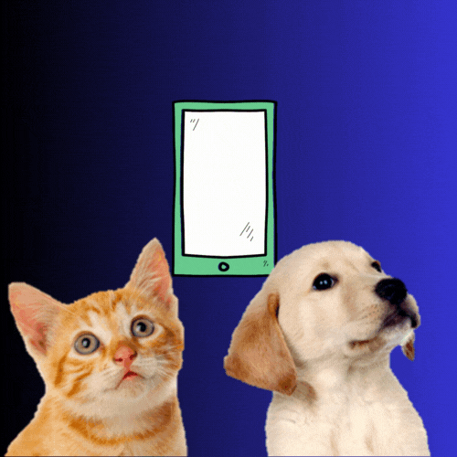 Chat-Aqui-3